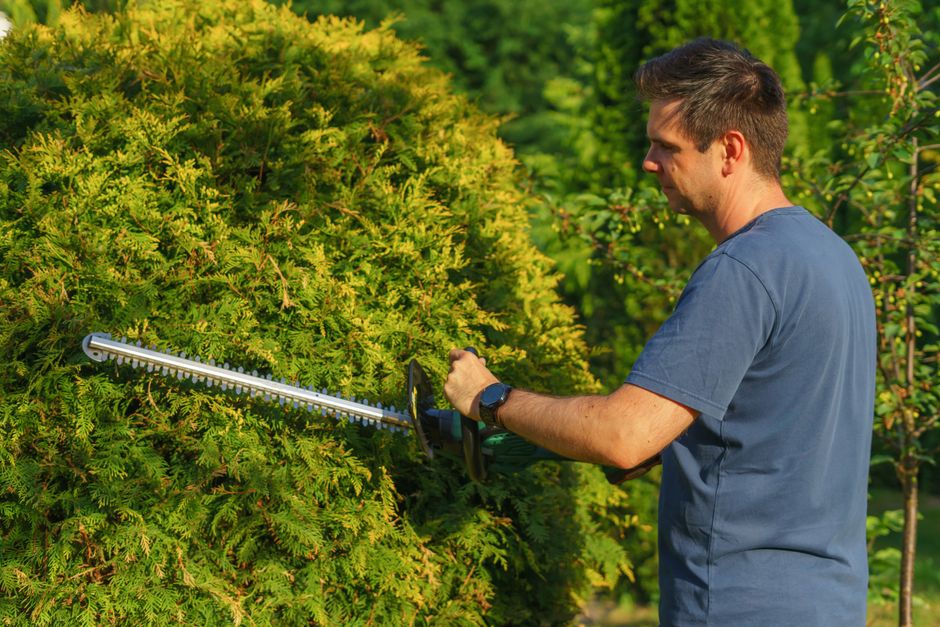 Landscaper analyzing property for garden design