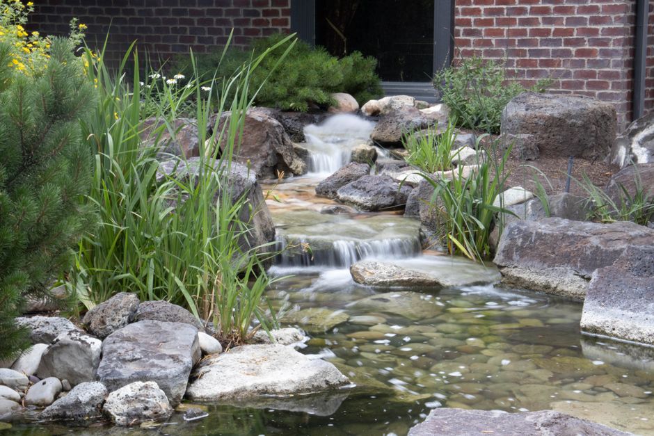 Beautiful backyard landscaping and garden design